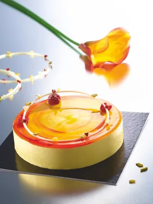 Mứt phủ bóng hương mơ Brillo Apricot 5kg - 4111509