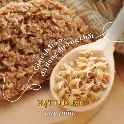 Hạt lúa mạch nảy mầm ngâm Sourdough 1kg - 4018298