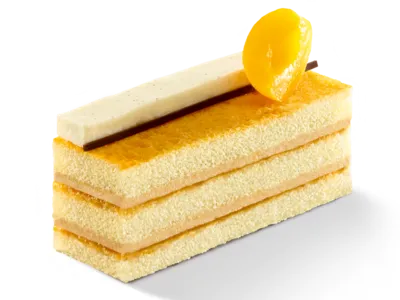 Tegral Sponge Gold