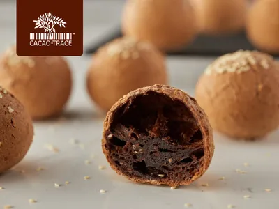 Tegral Mochi Chocolate Bread Mix