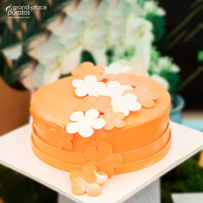 Coverliq Orange Flavored CAR 10x1kg