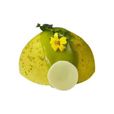 Green Tea Jelly Rose Lychee Mousse