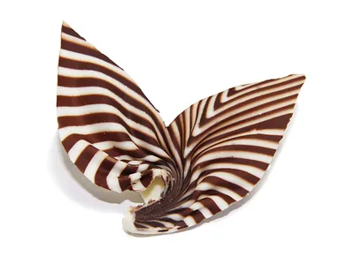 Sô-cô-la Grand-Place Thẻ Đen GPD-026 1kg - 4116142