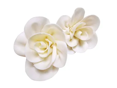 Ultra White Chocolate W023