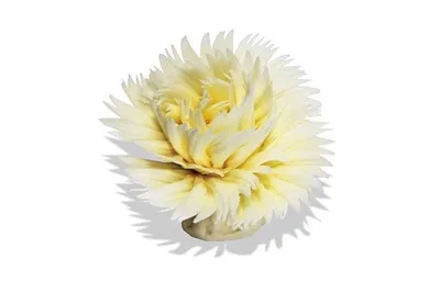 Sô-cô-la Grand-Place Thẻ Trắng GPW-003 1kg - 4116199