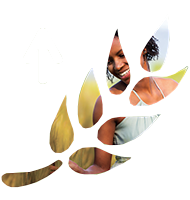 Tăng cường ngũ cốc